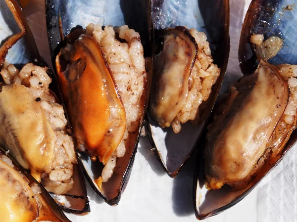 Mussels — Stock Photo, Image