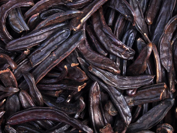 Dried bean pods — Stock Photo, Image