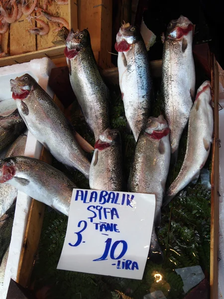 Forel op vismarkt — Stockfoto