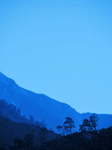 Fenyők-hegység — Stock Fotó