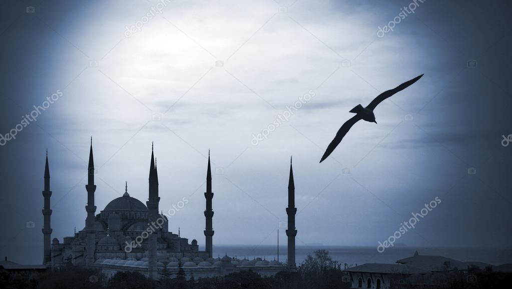 Aerial view of Blue Mosque