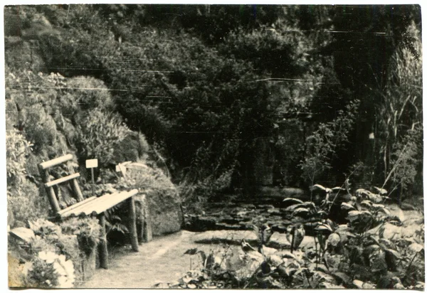 Banc au bord de l'étang — Photo