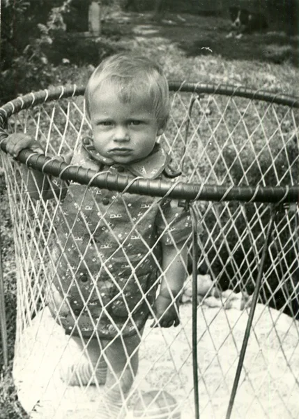 Year-old boy stands in Manege — Stock Photo, Image