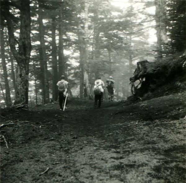 Turistas en el bosque — Foto de Stock