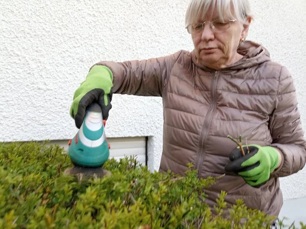 用灌木修剪器照料植被的高加索老年妇女 — 图库照片