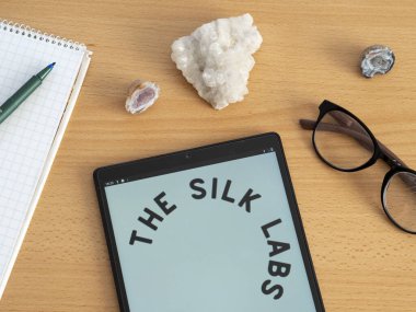 Garham, Bavyera, Almanya - 12 Mayıs 2022: Apple Inc. 'in sahibi olduğu bu fotoğraf illüstrasyonunda bir tablette sergileniyor