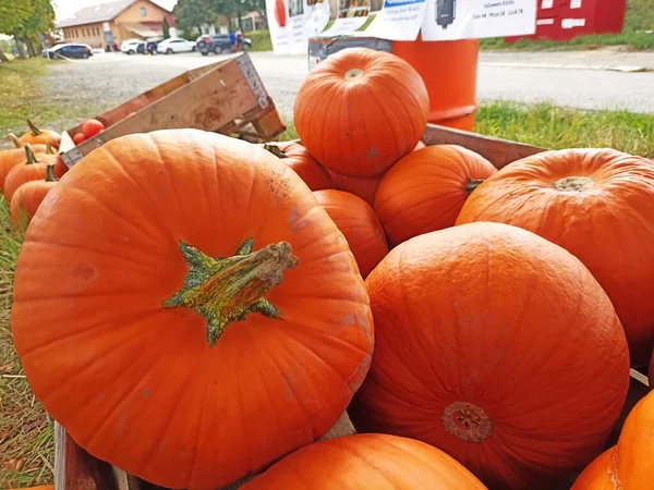 German farmers often sell their crops along the roads. At the same time, everyone can choose the vegetable he likes and pay for it by simply putting money into a piggy bank. The picture shows a cart with pumpkins and corn in Lower Bavaria.
