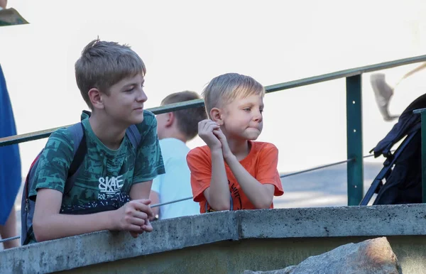 Áustria Viena Setembro 2022 Dois Meninos Caucasianos Assistindo Animais Zoológico — Fotografia de Stock