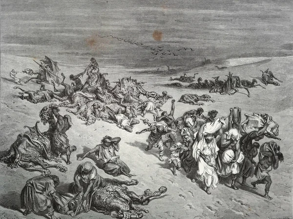 Peste Illustrazione Gustave Dore Dalla Terza Edizione Della Bibbia Tradotta — Foto Stock