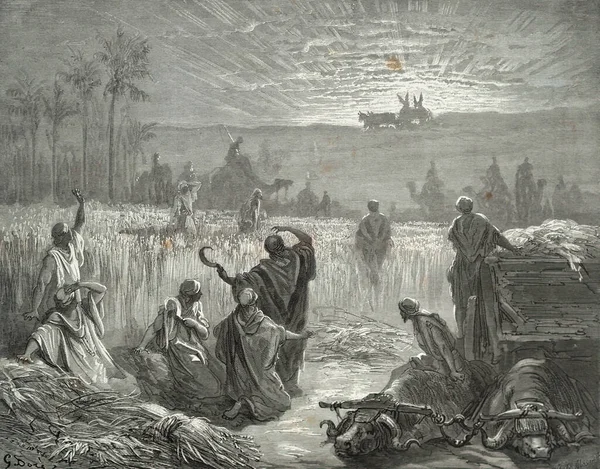 Frigyláda Visszatérése Gustave Dore Illusztrációja Biblia Harmadik Kiadásából Ludwig Philippson — Stock Fotó