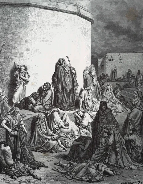 Crane Jerusalem Illustration Gustave Dore Third Edition Bible Translated Ludwig — Stock Photo, Image