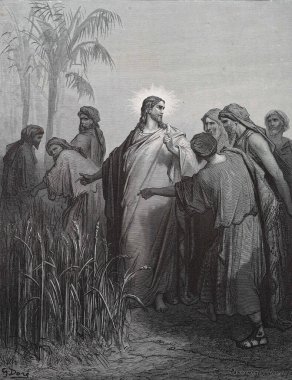 Havariler Sebt Günü 'nde tahıl topluyor. Illustration by Gustave Dore from the third edition of the Bible translated by Ludwig Philippson, 1870, Stuttgart, Germany. Orijinal çizimler 1850-1853 döneminde yapılmıştır..