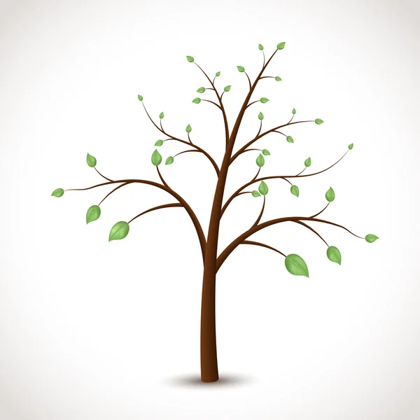 Baum mit grünen Blättern — Stockvektor