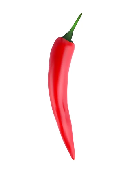 Red hot chili pepper — Stock Vector
