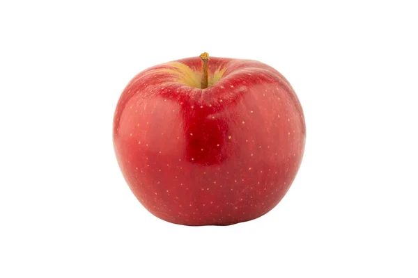 Roter Apfel Isoliert Auf Weißem Hintergrund — Stockfoto