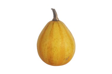 Beyaz arka plan üzerinde izole dekoratif sarı kabak