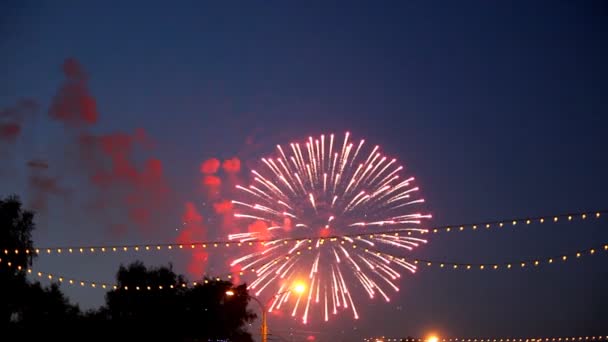 Fuochi d'artificio nel cielo notturno — Video Stock