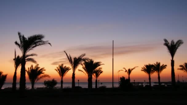 Salida del sol en la playa en los trópicos — Vídeos de Stock