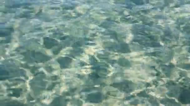 Transparent sea water in shallow with glare from sun — Stock Video