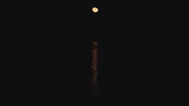 Moon over zee nachts. — Stockvideo