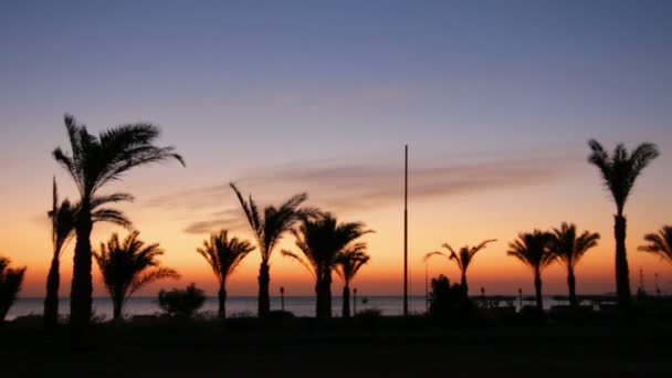 Схід сонця на пляжі в тропіках — стокове відео