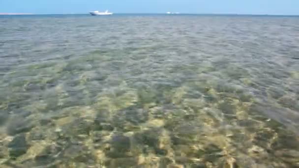 Acqua di mare trasparente in acque poco profonde con bagliore dal sole — Video Stock