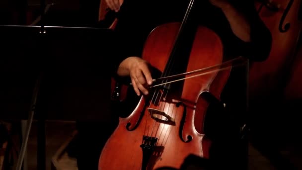 Expressieve jonge vrouw speelt cello zitten op het podium, close-up — Stockvideo