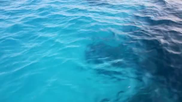 Água do mar, textura — Vídeo de Stock