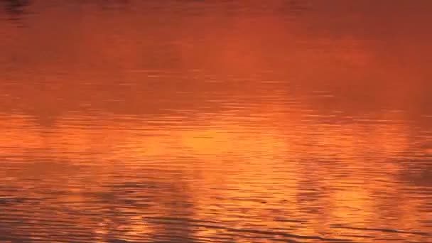 Reflexão do nascer do sol sobre o mar — Vídeo de Stock