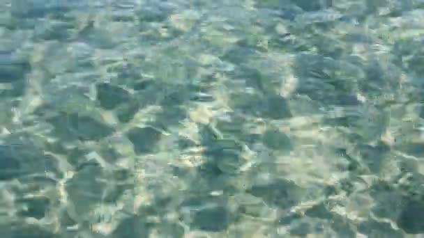 Transparentes Meerwasser im flachen Wasser — Stockvideo