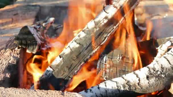 Open haard met brandende vlam — Stockvideo