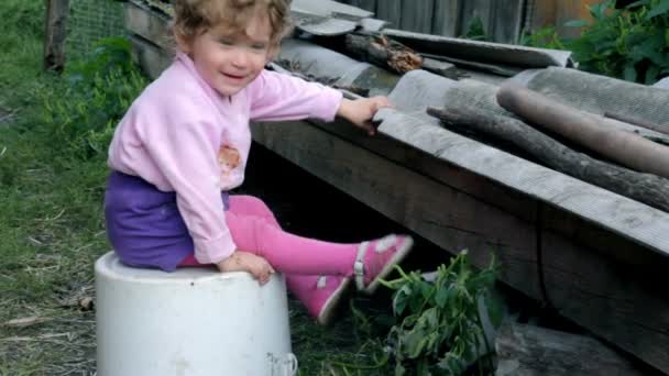 Petit enfant jouant avec des chiots — Video