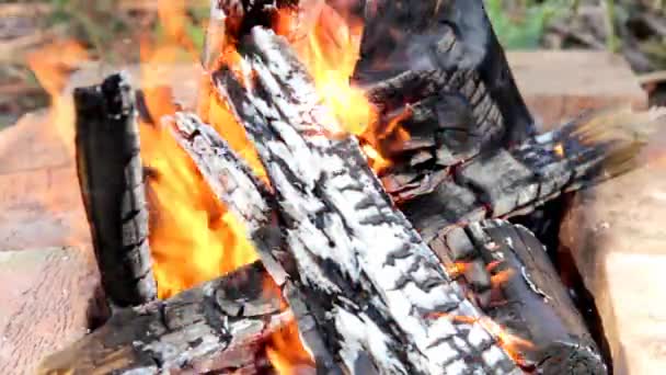 Cheminée avec flamme brûlante — Video