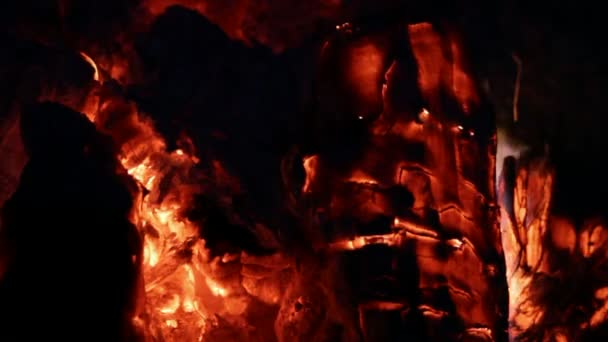 Gros plan sur la combustion du bois de chauffage — Video