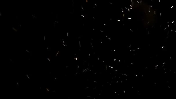 夜间降雪-冬季 — 图库视频影像
