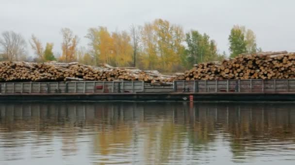 Schepen geladen met hout op de rivier — Stockvideo