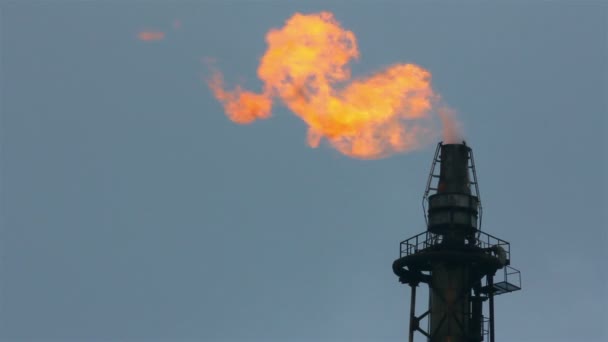 Antorcha se enciende en la refinería de la torre - contaminación del aire — Vídeos de Stock