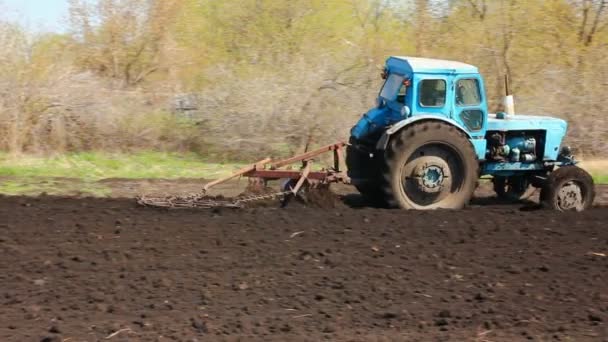 Traktor pflügt im Frühling — Stockvideo