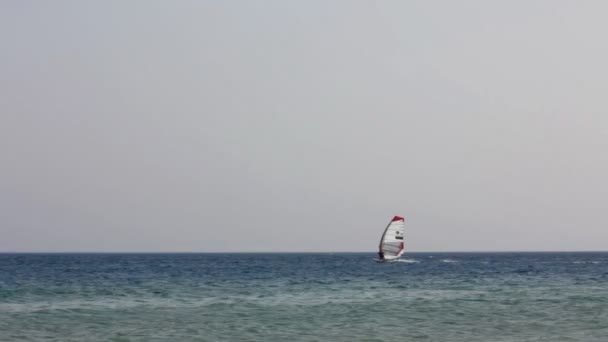 Windsurfing — Stock video