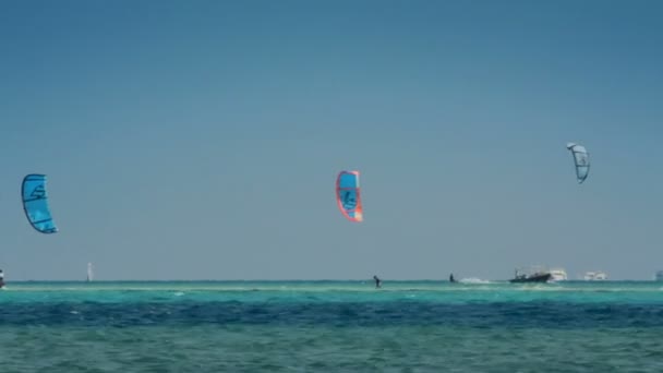 Кайт-серфінг - серфери на поверхні блакитного моря — стокове відео