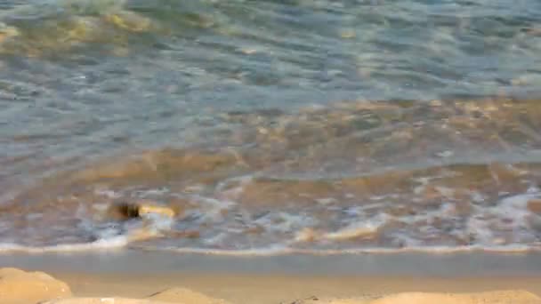 Pebble seashore with crystal clear water and waves — Stock Video