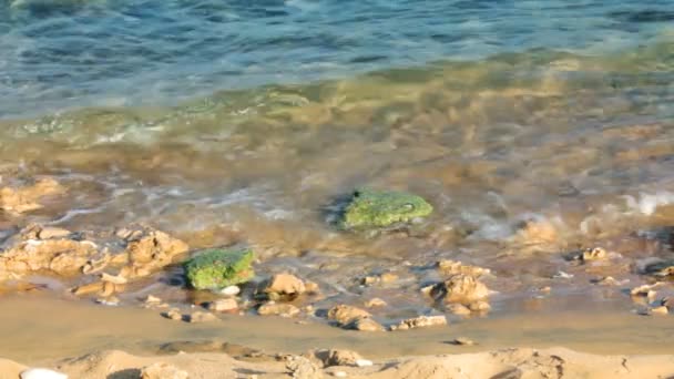 Żwirowa pobrzeże z krystalicznie czystą wodą i fale — Wideo stockowe