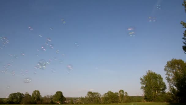 Zeepbellen op blauwe lucht achtergrond — Stockvideo