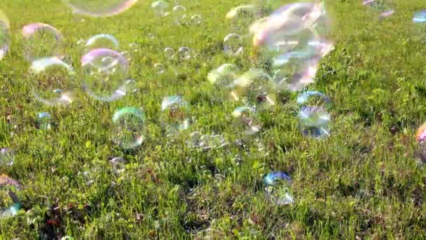 Såpbubblor flyger över gröna ängen — Stockvideo