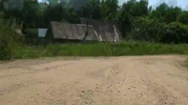 Montar en carretera forestal — Vídeo de stock