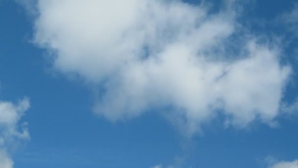 Time lapse of puffy white clouds against blue sky on a Summer day — Stock Video