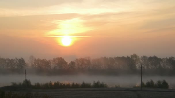 Sunrise and fog — Stock Video