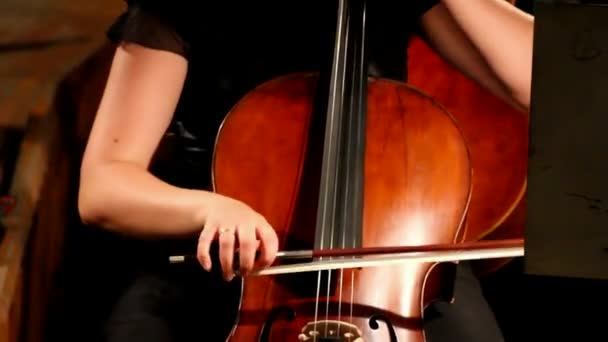 打大提琴的女孩 — 图库视频影像