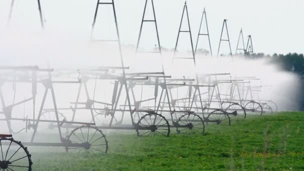 Bewässerung auf dem Feld an Sommertagen — Stockvideo