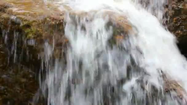 Río de montaña sobre un fondo de piedras — Stockvideo